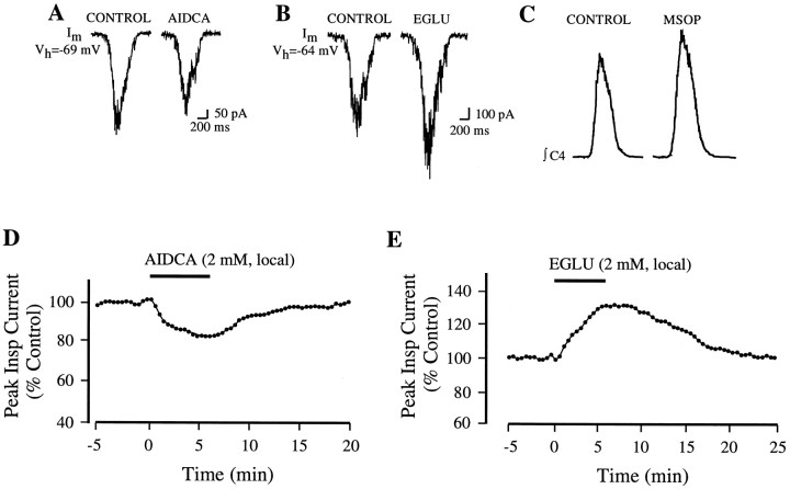 Fig. 8.