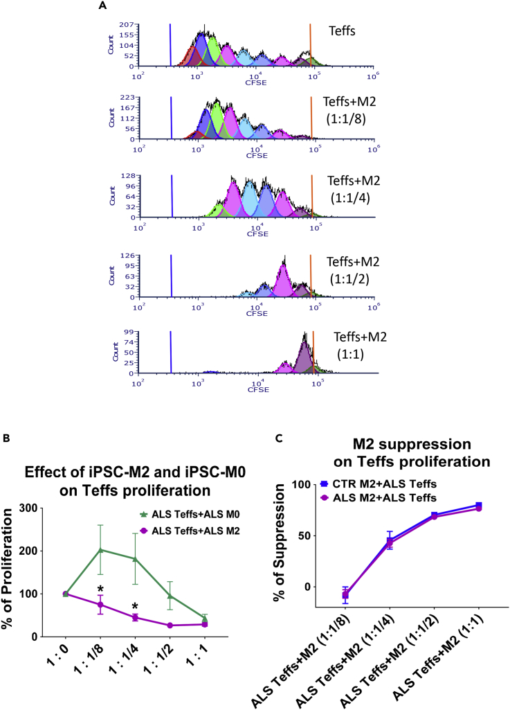 Figure 5