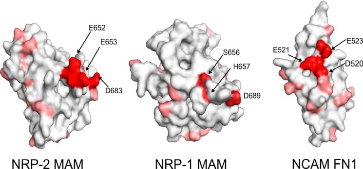 FIGURE 7.