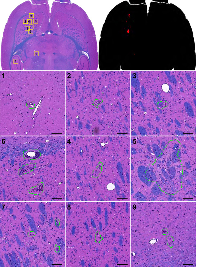 Figure 10