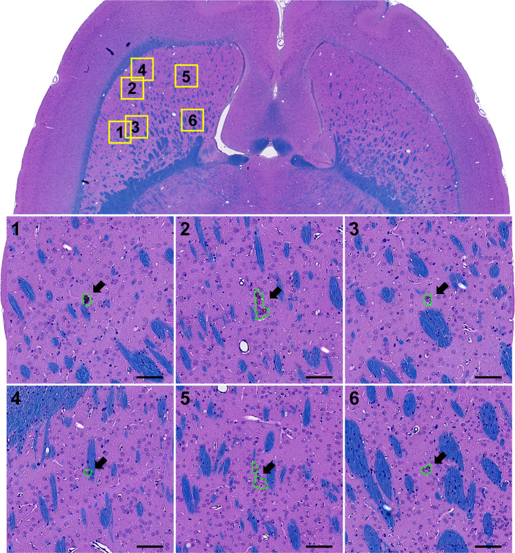 Figure 9