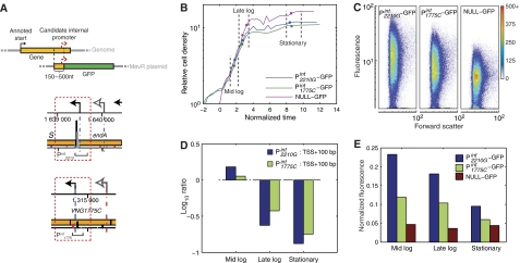 Figure 6