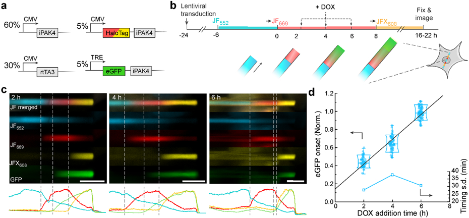 Figure 4.