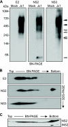 FIG. 3.