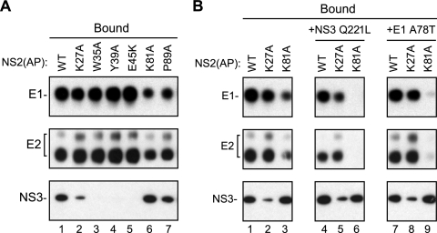 FIG. 7.