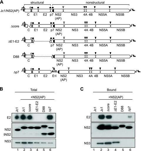 FIG. 6.