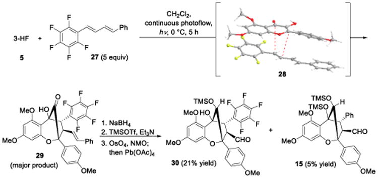 Scheme 6