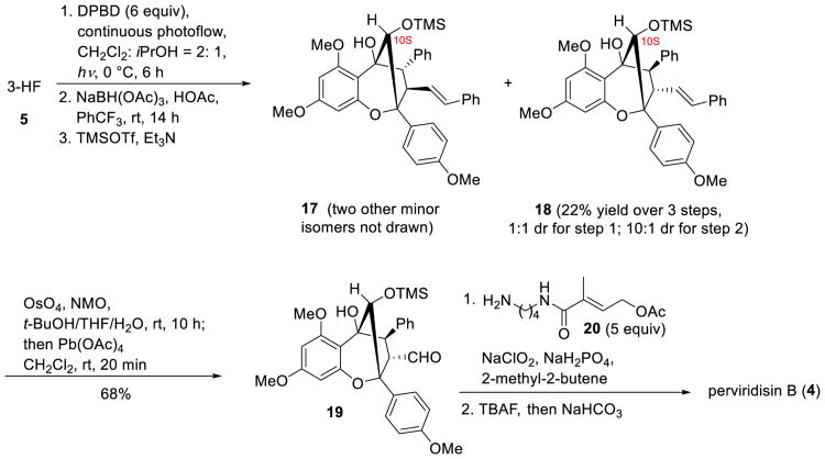 Scheme 4