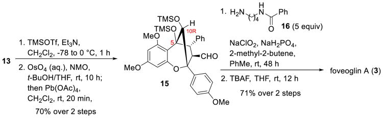 Scheme 3