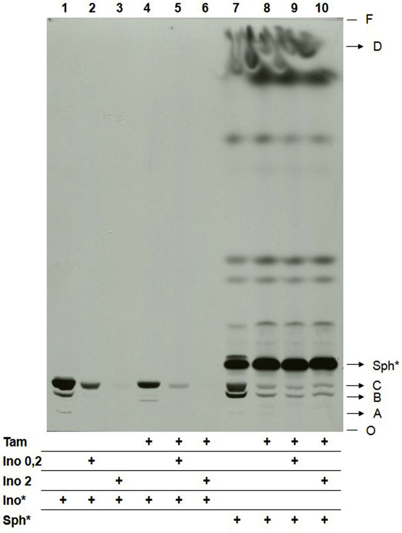 Fig. 9