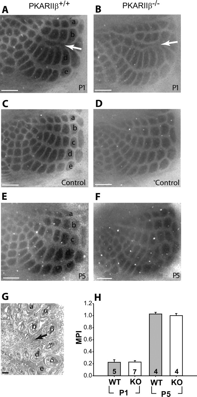 Figure 9.