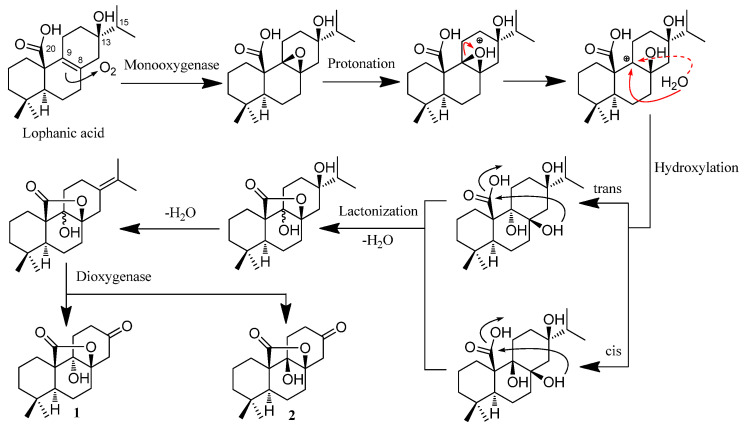 Scheme 1