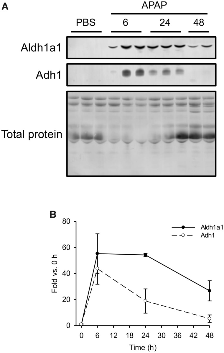 Figure 6.