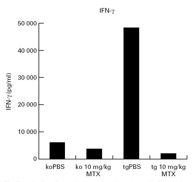 Fig. 5