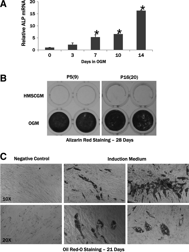 FIG. 6.