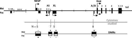 Figure 1