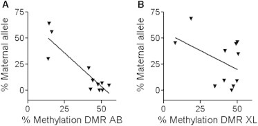 Figure 6