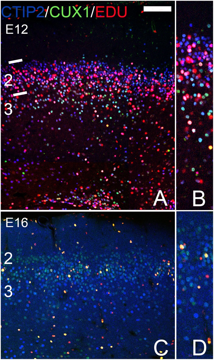 Fig 10