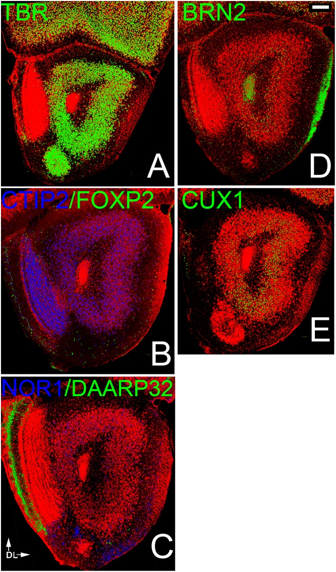 Fig 3