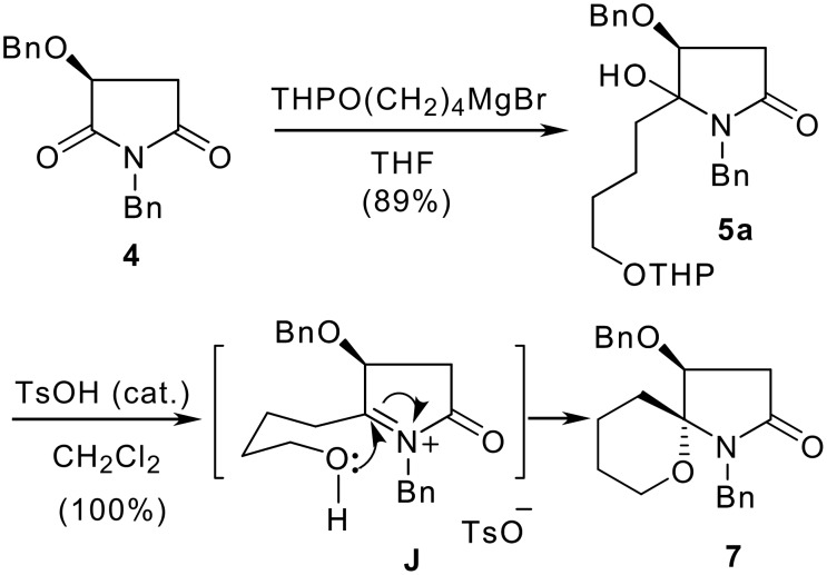 Scheme 3