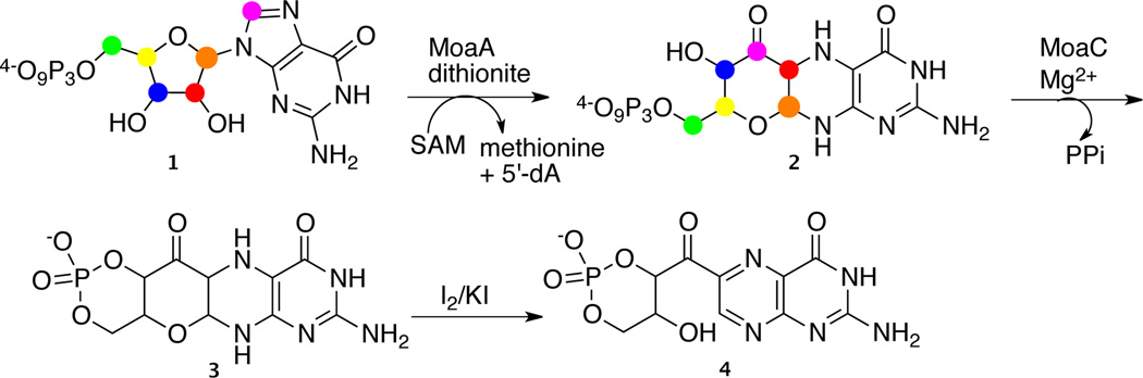 Scheme 1