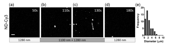 Fig. 5