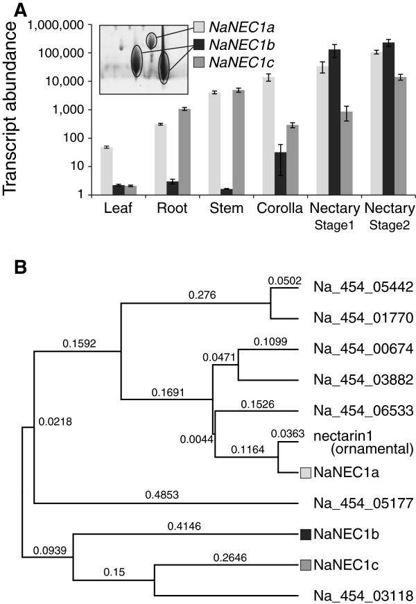 Figure 4