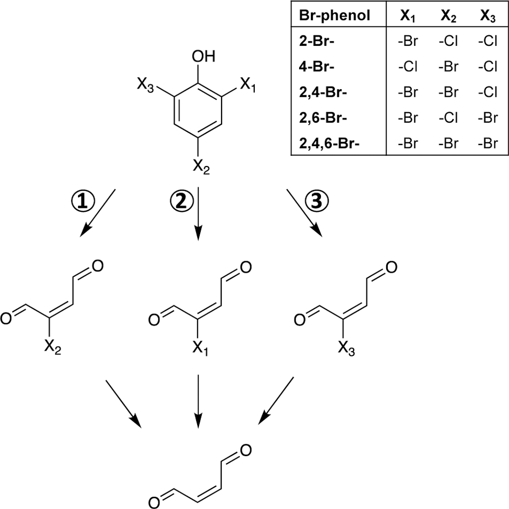 Figure 5: