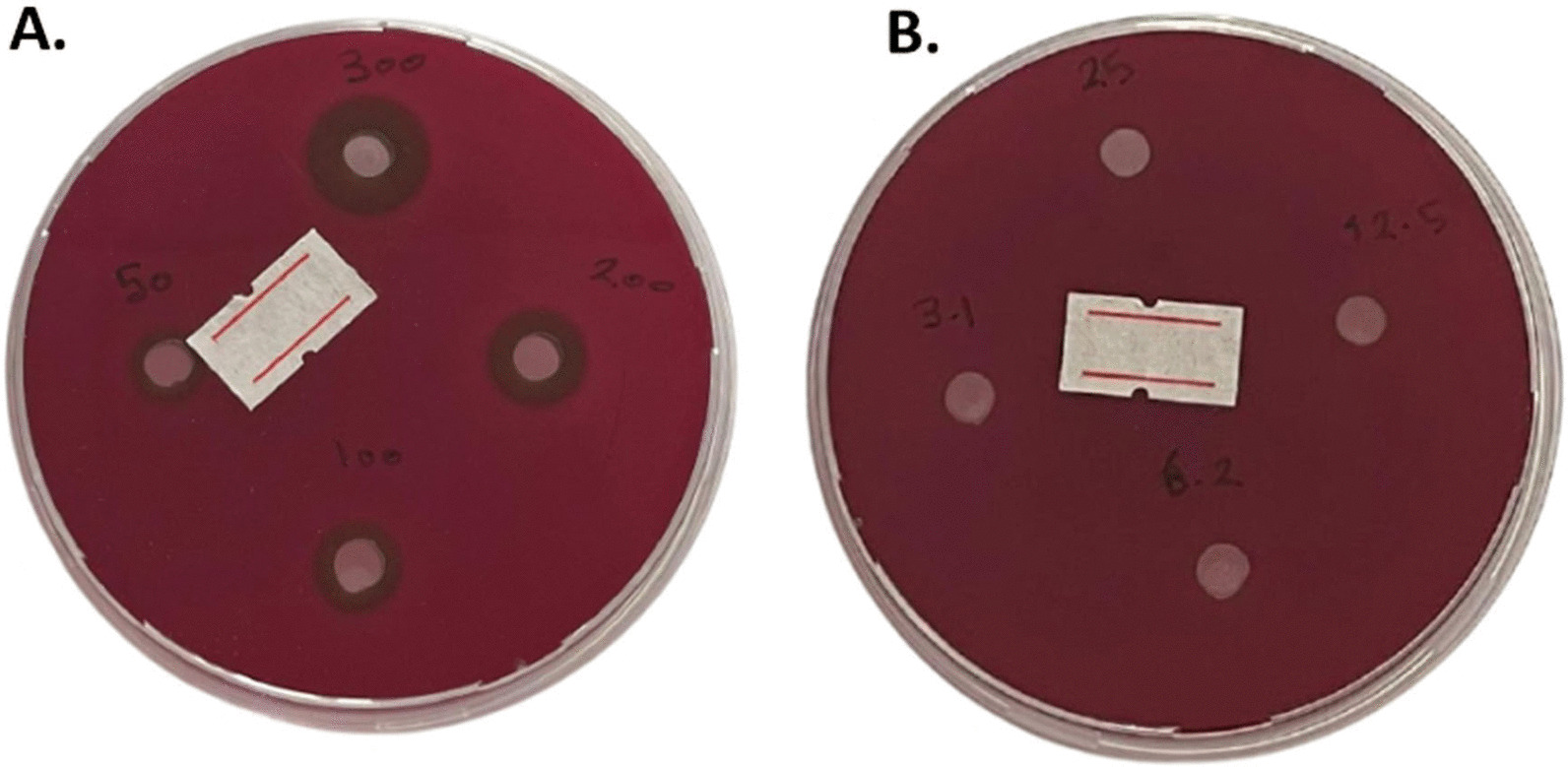 Fig. 5