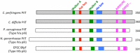 Fig 11