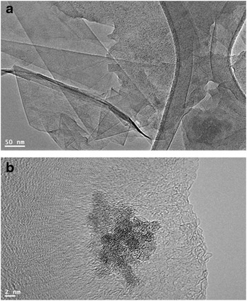 Fig. 8