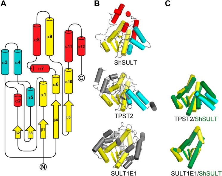 Figure 2.