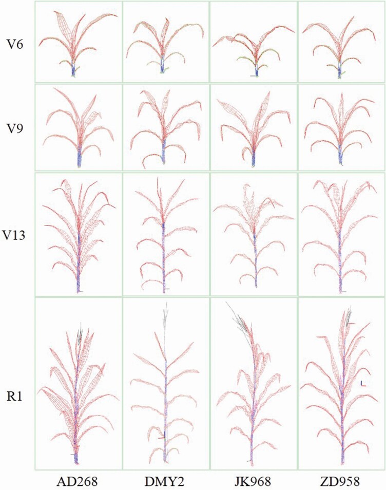 Figure 4.