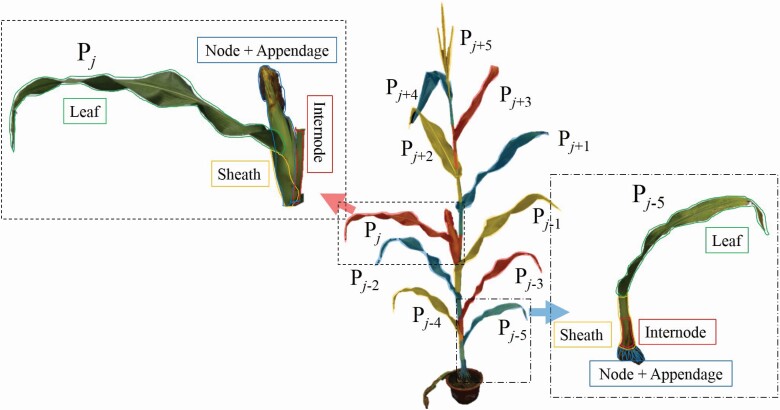 Figure 2.