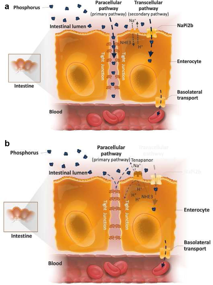 Figure 2