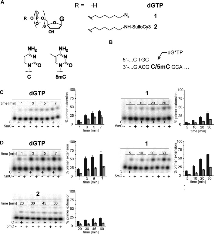 Figure 5.