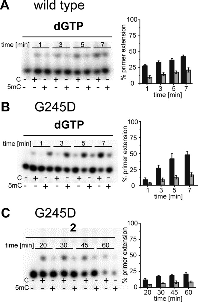 Figure 6.