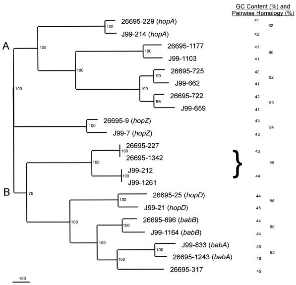 FIG. 1