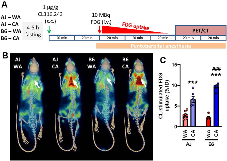 Figure 4