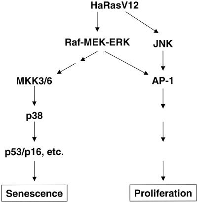 FIG. 12.