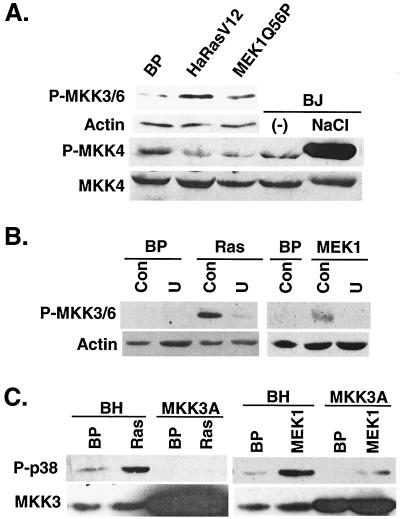 FIG. 9.