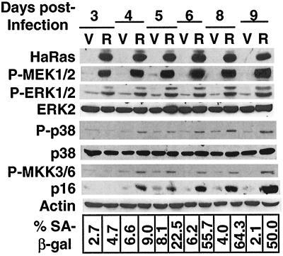 FIG. 10.