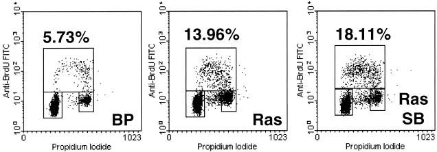 FIG. 7.