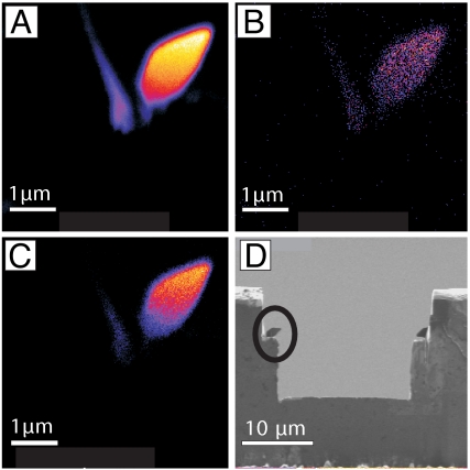 Fig. 9.