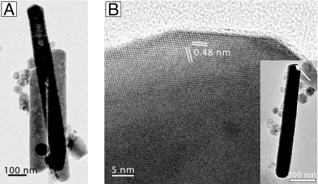 Fig. 8.