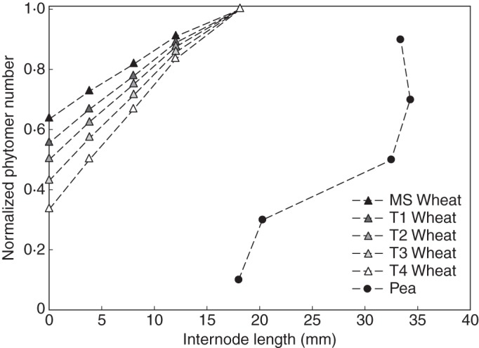 Fig. 2.