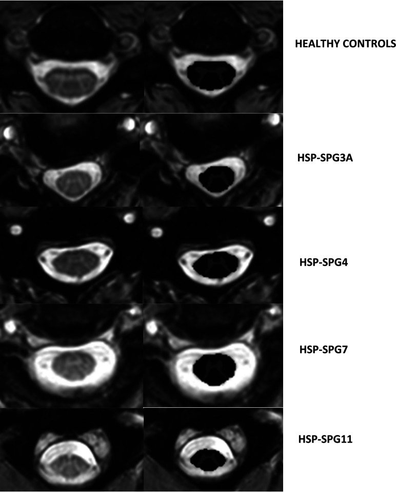 FIG 1.