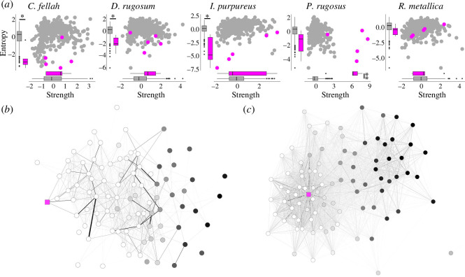 Queen role in the social network differs across species.