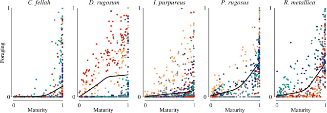 Community membership and foraging behaviour.