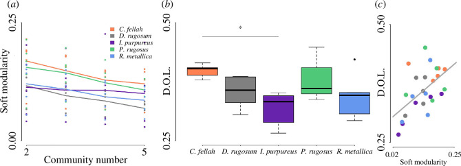 Community structure and division of labour.